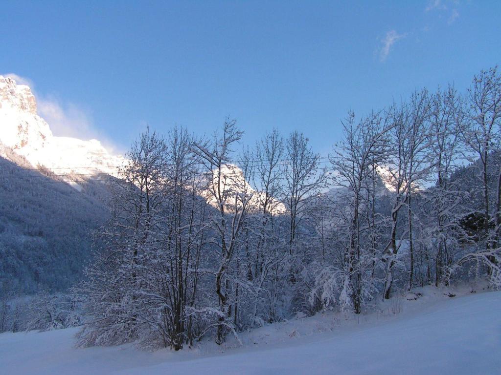 Narcisse Chalet Sixt