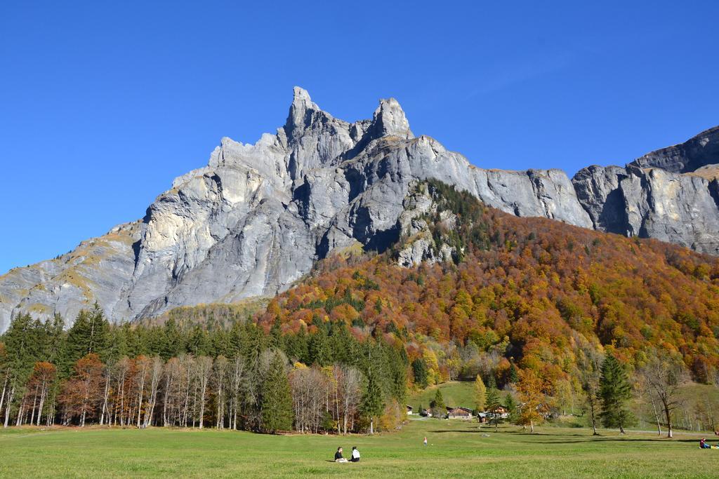 Narcisse Chalet *